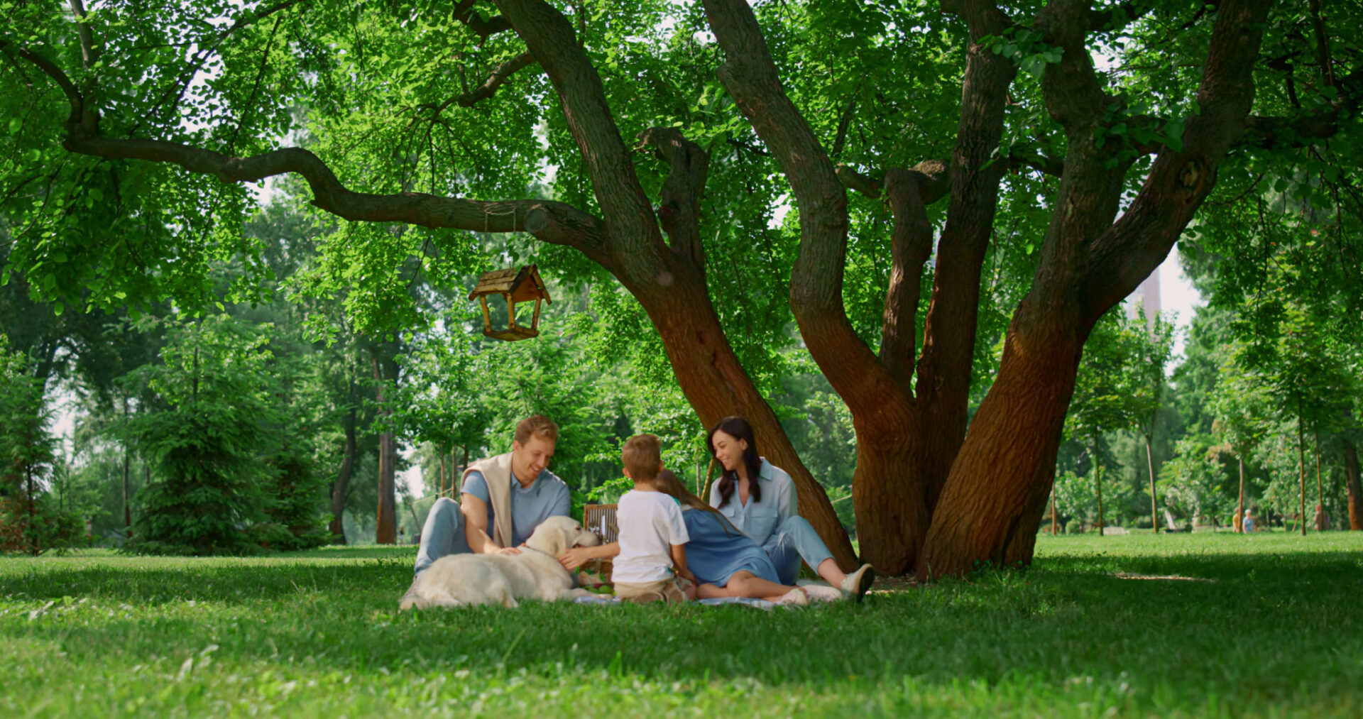 Family picnic under a large green tree.