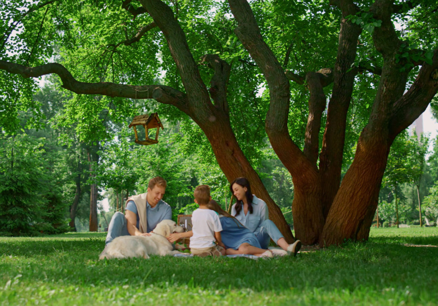 Family picnic under a large green tree.